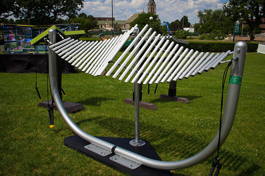 Manta Ray - Schoolscapes US