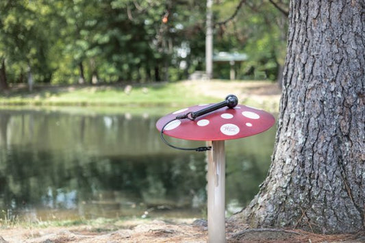 Mushrooms - Schoolscapes US
