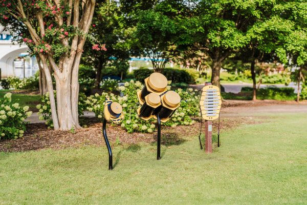 Honeycomb Congas - Schoolscapes US