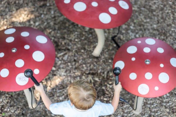 Mushroom Ensemble - Schoolscapes US