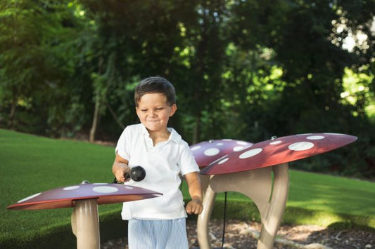 Mushrooms - Schoolscapes US